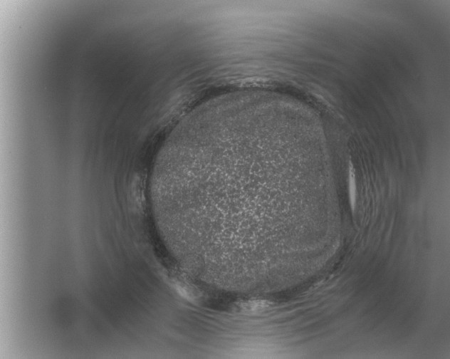 X0000063500695200602032018