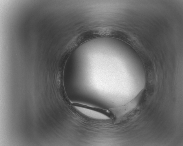 X0000063500697200602032018