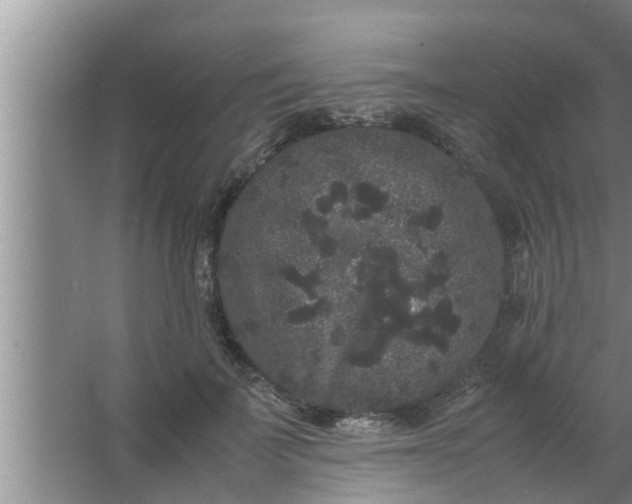 X0000063500699200602032018