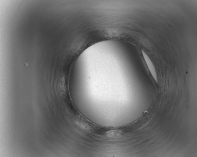 X0000063500700200602032018