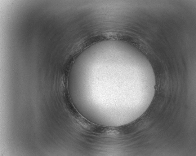 X0000063500702200602032018