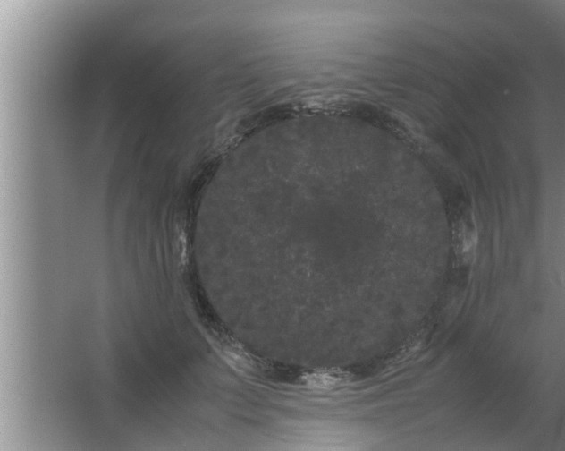 X0000063500703200602032018