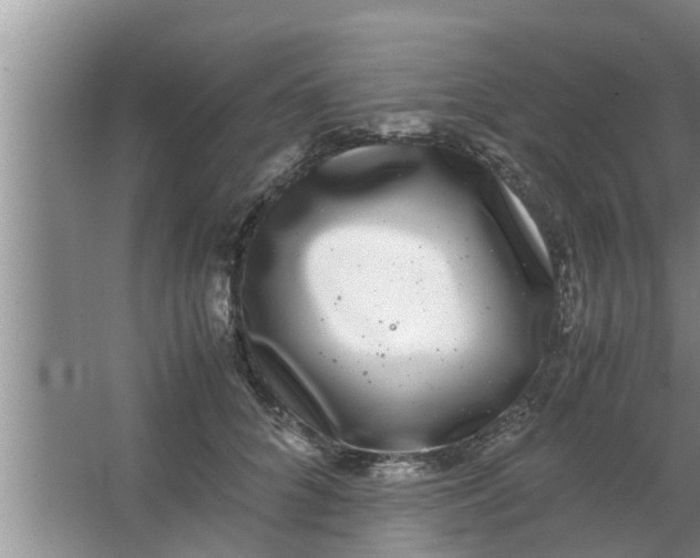 X0000063500704200602032018