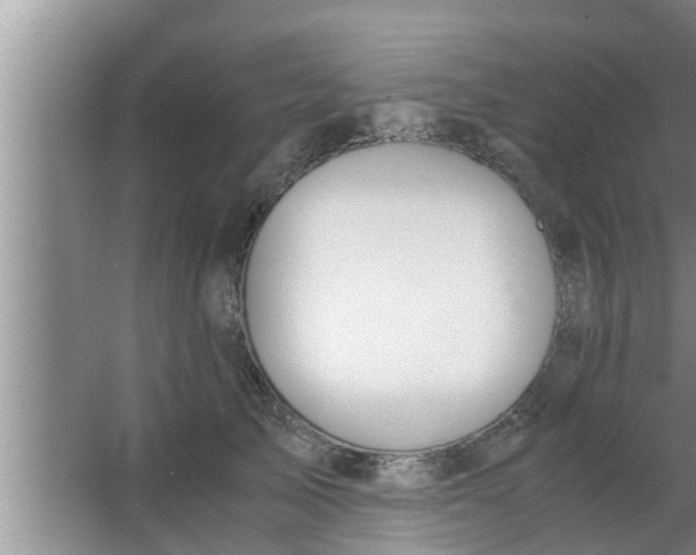 X0000063500705200602032018