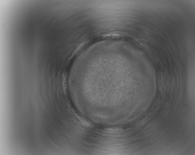 X0000063500708200602032017