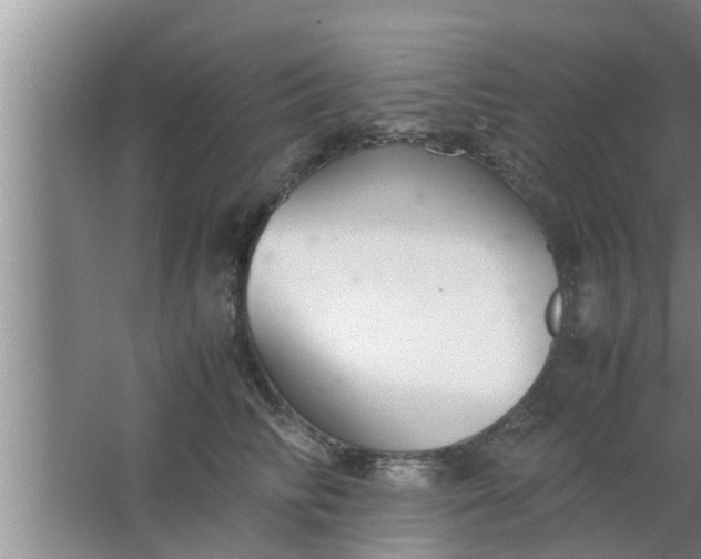 X0000063500710200602032017