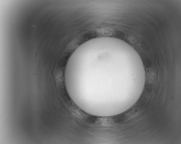 X0000063500713200602032017