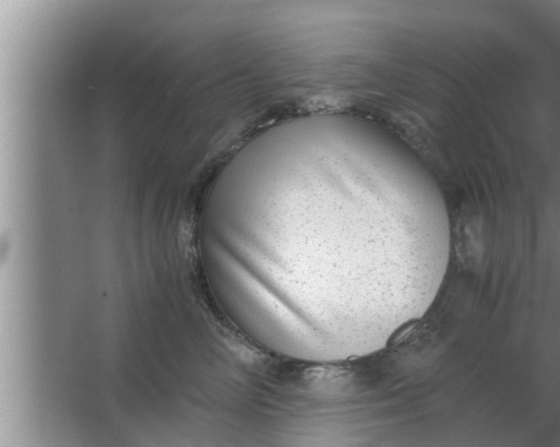 X0000063500714200602032017