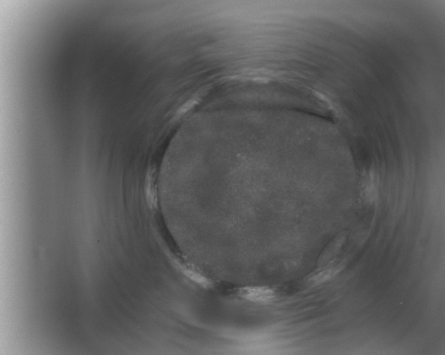 X0000063500719200602032017