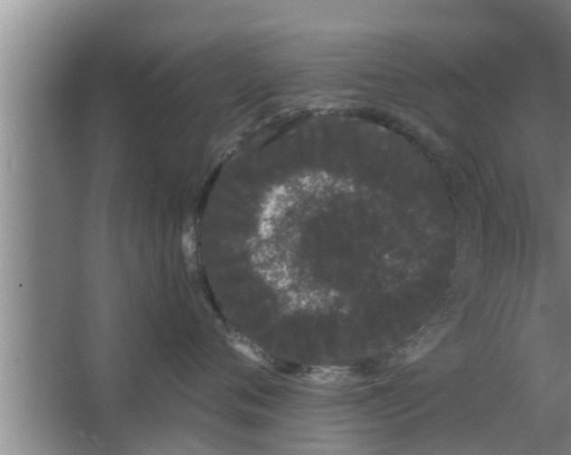 X0000063500720200602032017