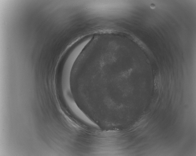 X0000063500722200602032016