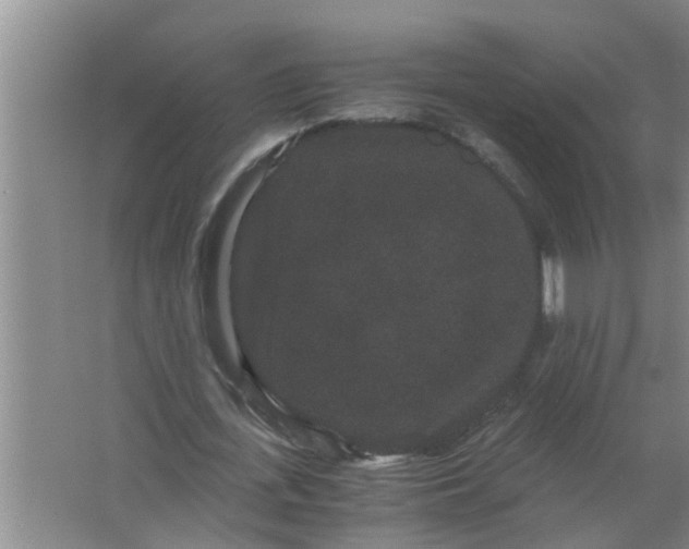 X0000063500723200602032016