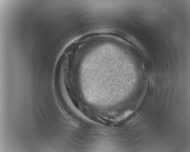 X0000063500724200602032016