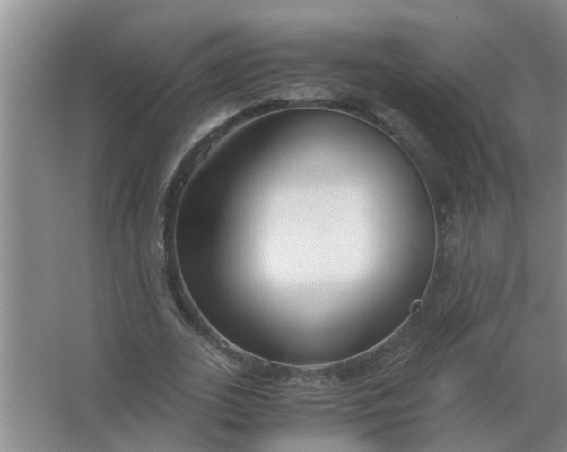 X0000063500727200602032017