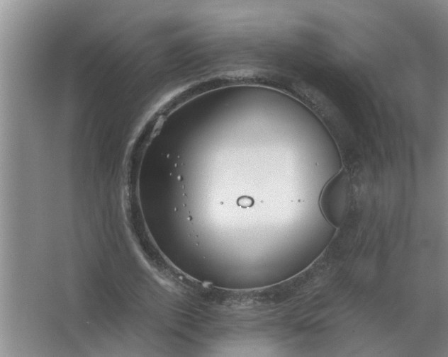 X0000063500728200602032017