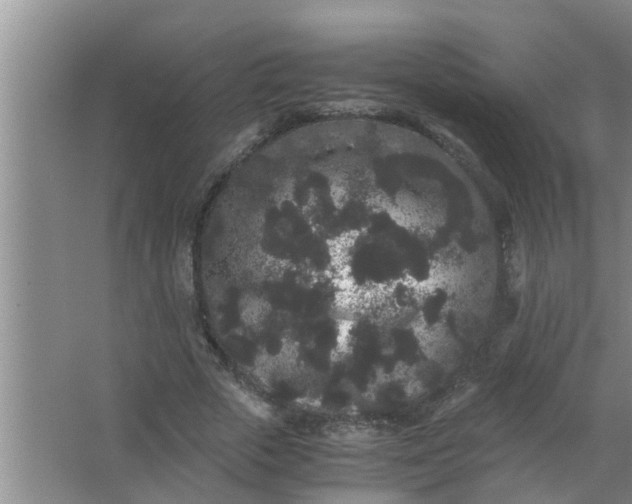 X0000063500729200602032017