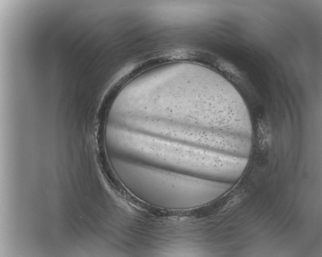 X0000063500730200602032017