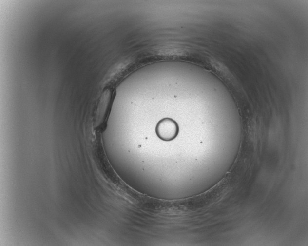 X0000063500731200602032017