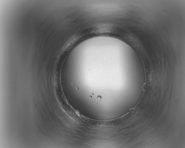 X0000063500732200602032017