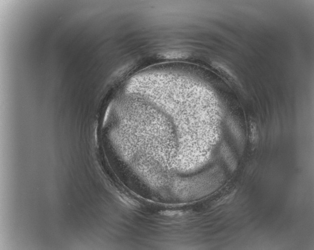 X0000063500733200602032017