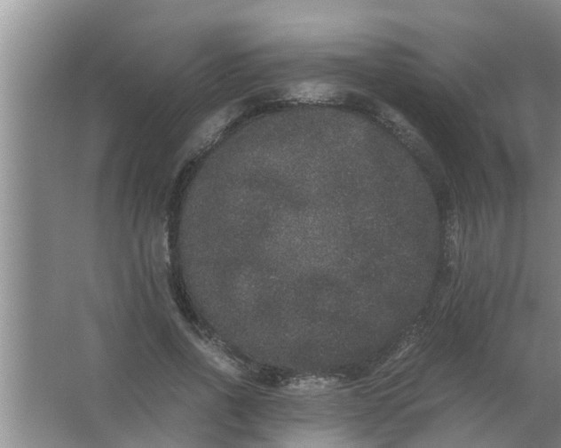 X0000063500734200602032017