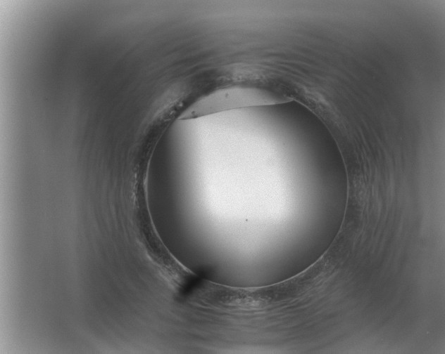 X0000063500735200602032017