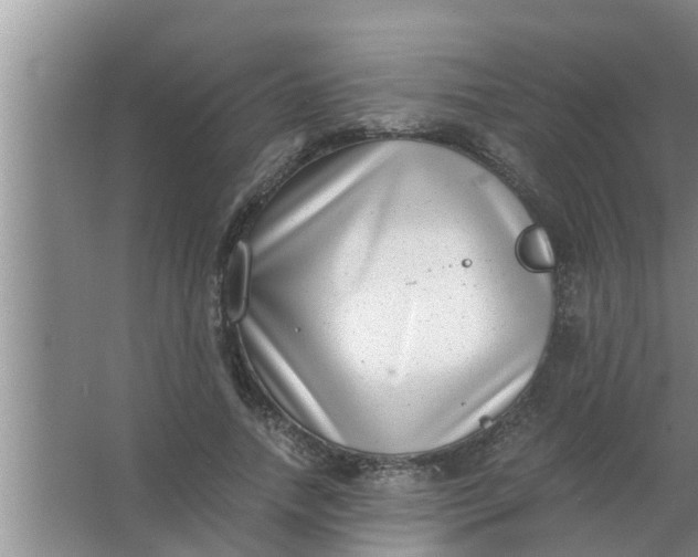 X0000063500738200602032017