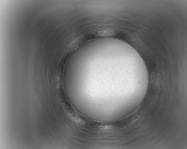 X0000063500741200602032017