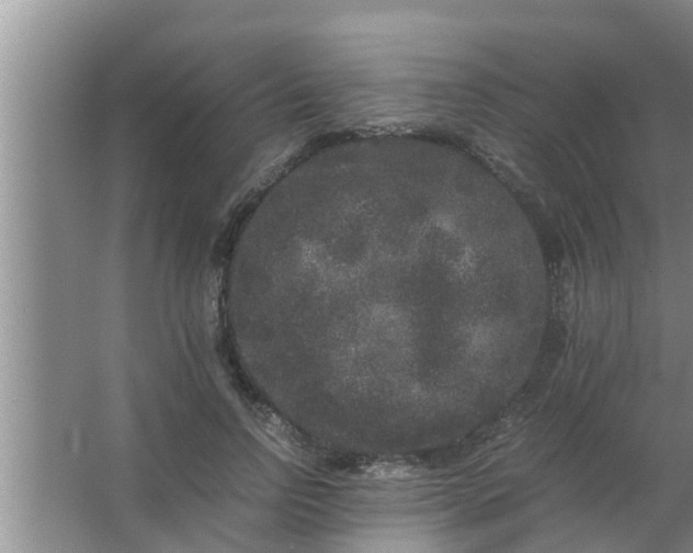 X0000063500742200602032017