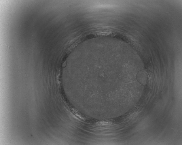 X0000063500745200602032017