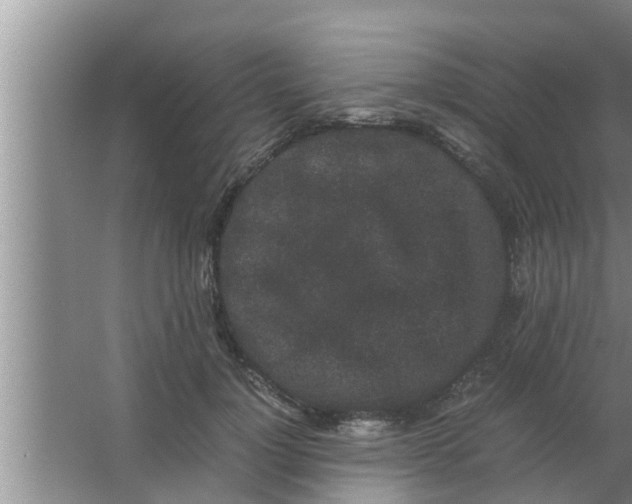 X0000063500748200602032017