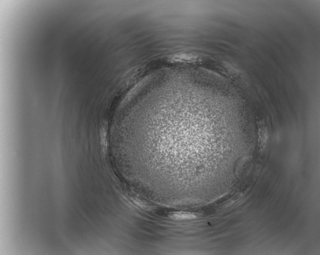 X0000063500749200602032017