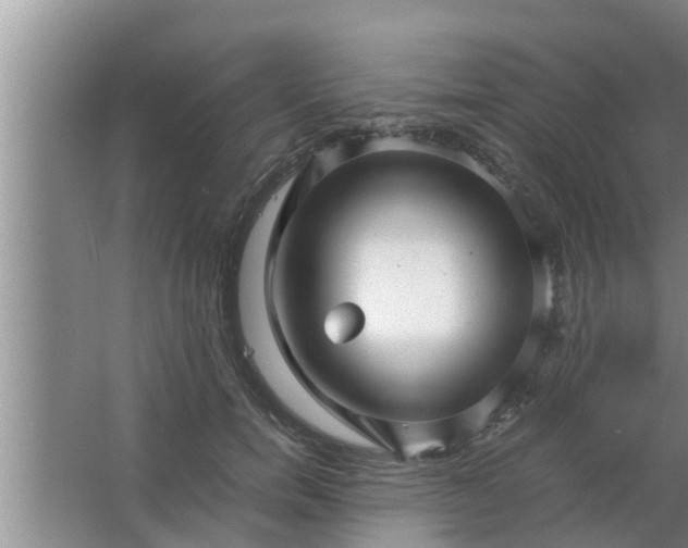 X0000063500750200602032017