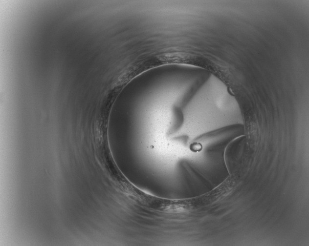 X0000063500751200602032017