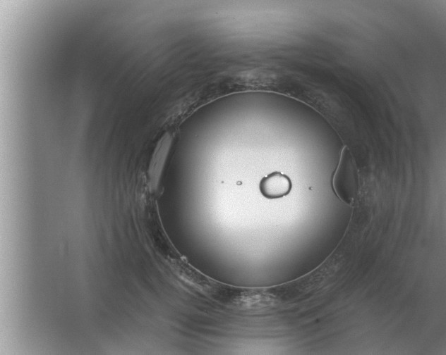 X0000063500752200602032017