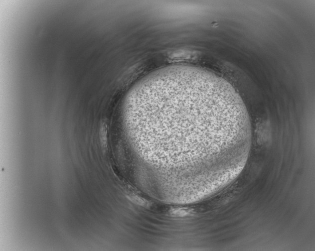 X0000063500753200602032017