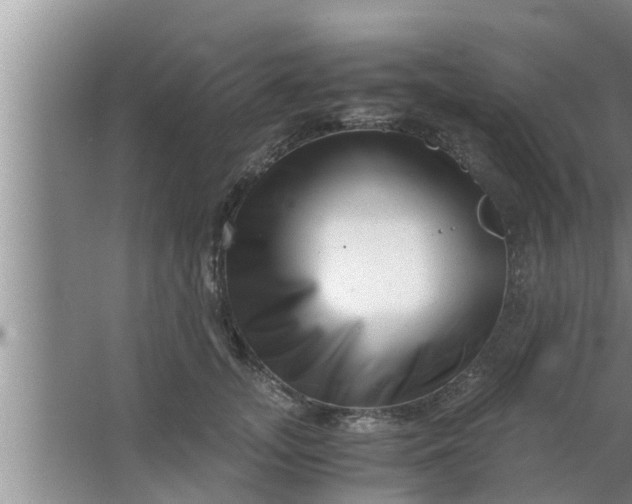 X0000063500755200602032017