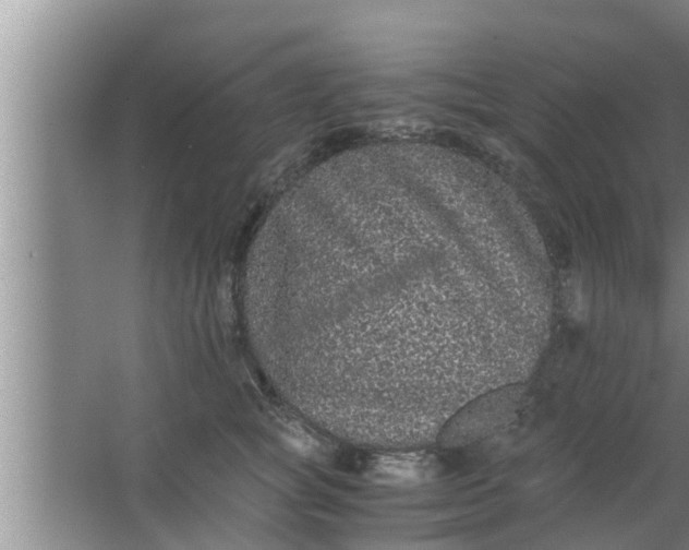 X0000063500757200602032017