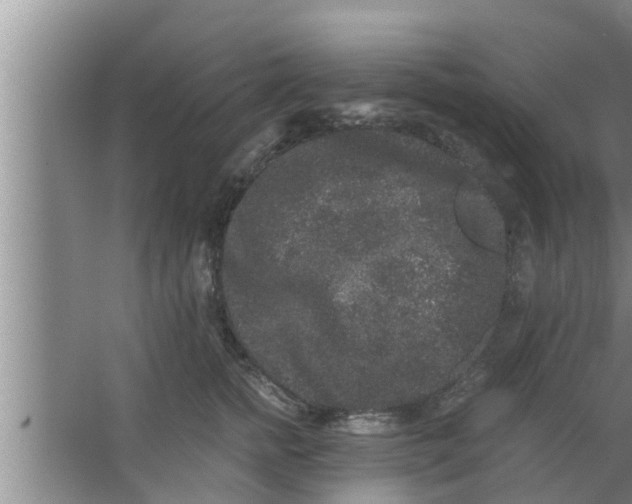 X0000063500758200602032017