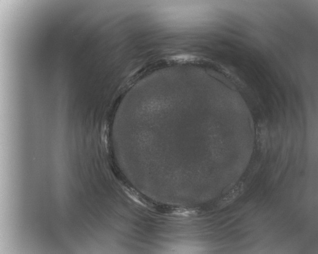 X0000063500760200602032017