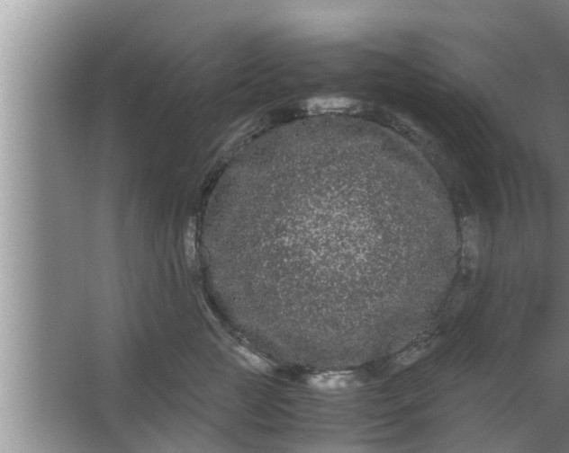 X0000063500761200602032017