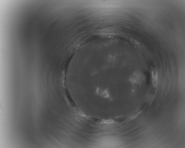 X0000063500767200602032017