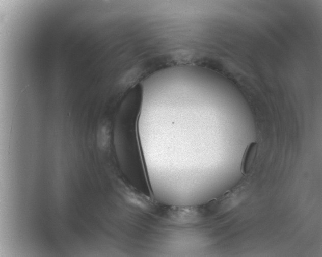 X0000063500768200602032017