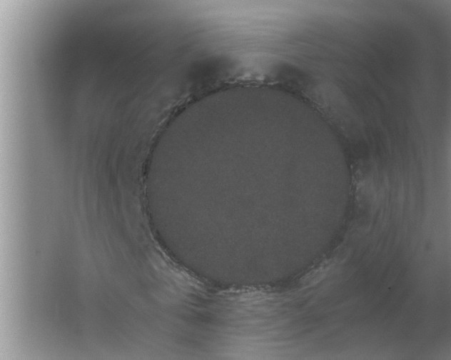 X0000063500769200602032016