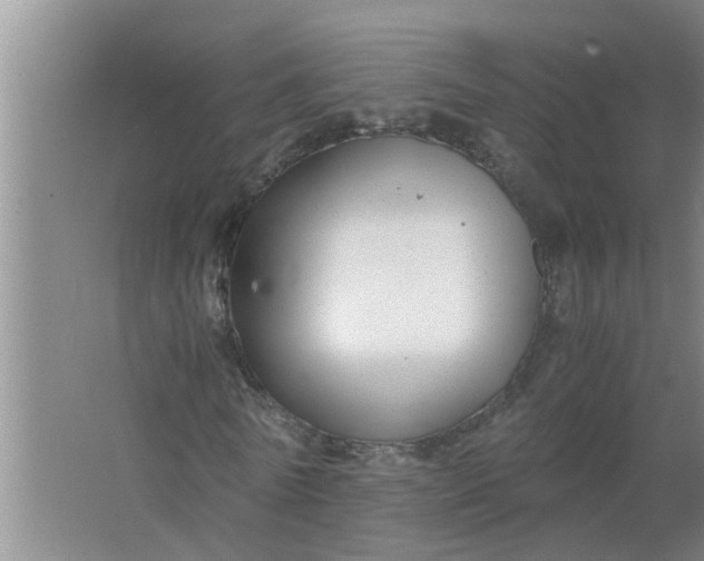 X0000063500770200602032016