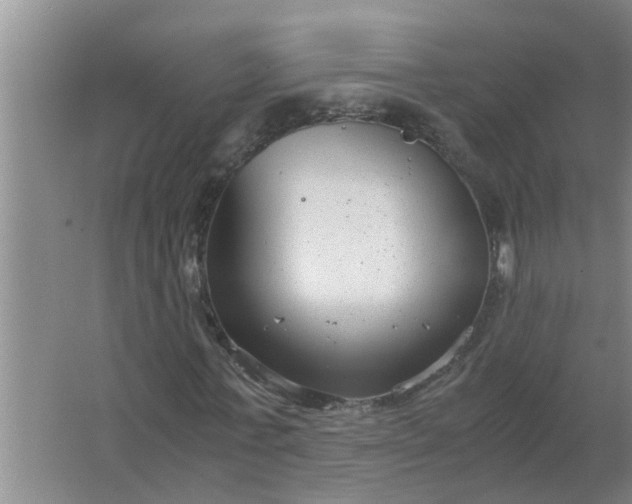 X0000063500771200602032016