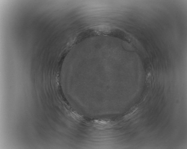 X0000063500772200602032016