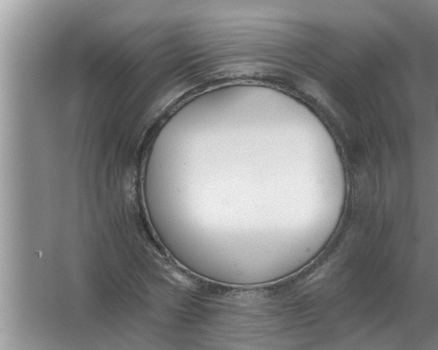 X0000063500778200602032016