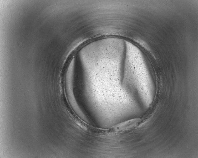 X0000063500782200602032016