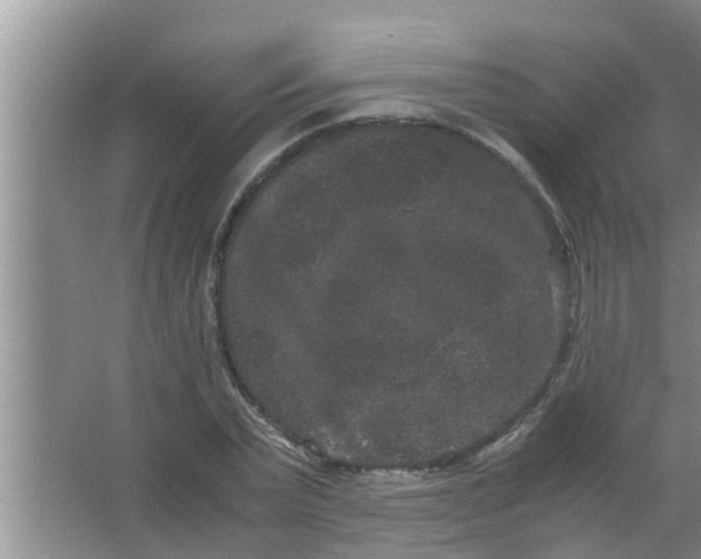 X0000063500783200602032016